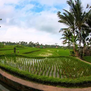 Vinarya Ubud (Bali)